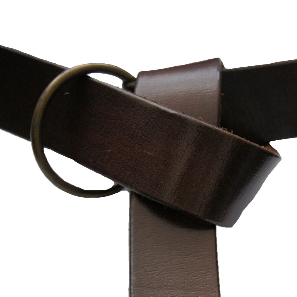 Ringgürtel